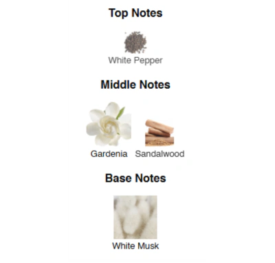 Unisex Nischen Parfumextrakt Musk Mirage AVA-De Luxe NICHE PERFUME 100 ml AD-03