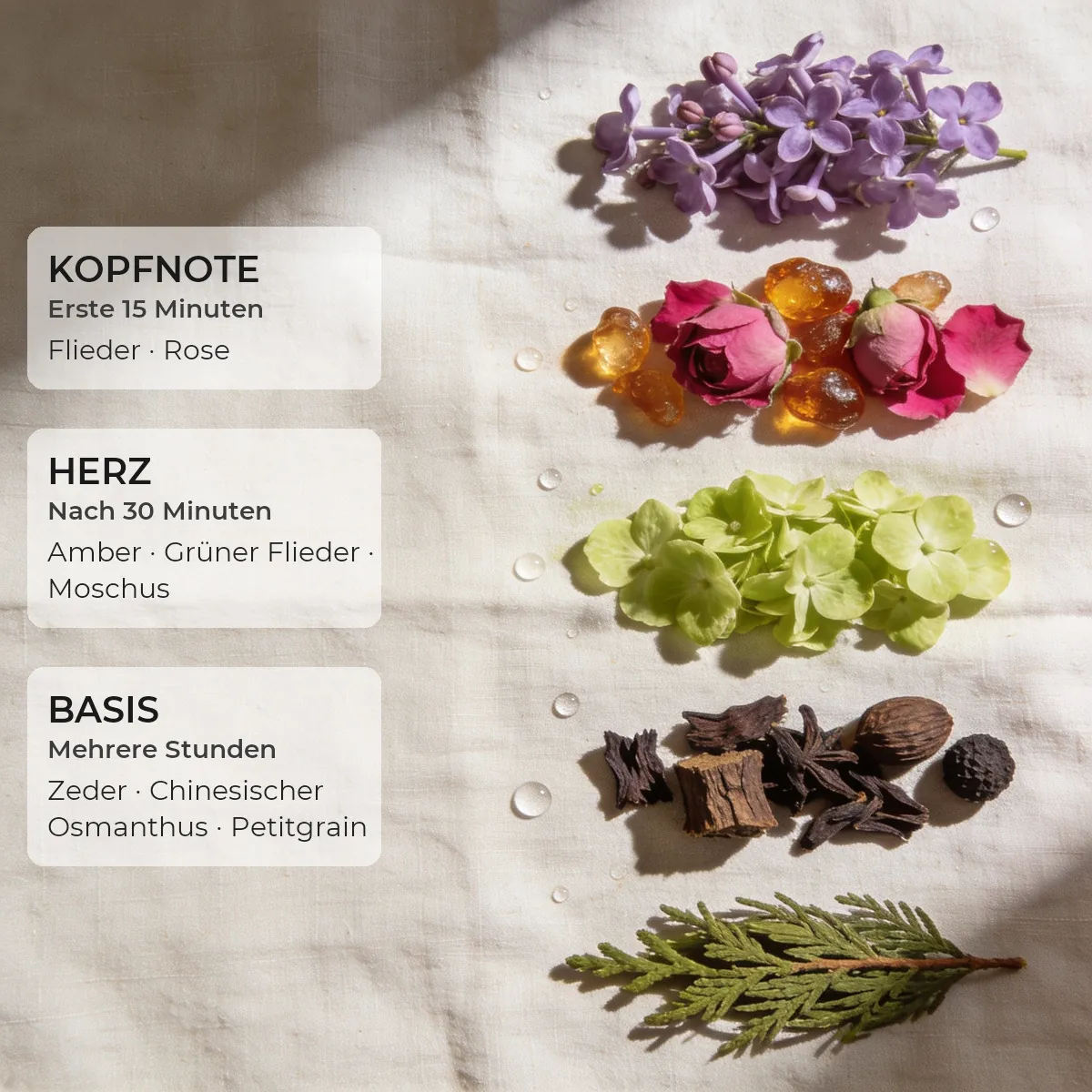 Eclat des Fleurs · Secret 50 ml