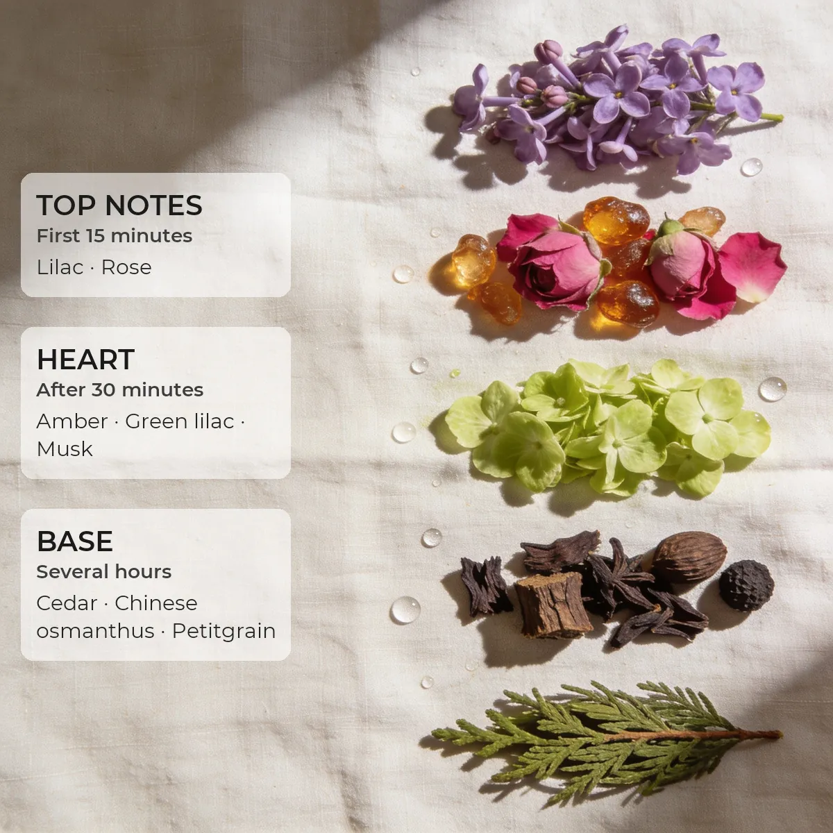 Eclat des Fleurs · Secret 50 ml