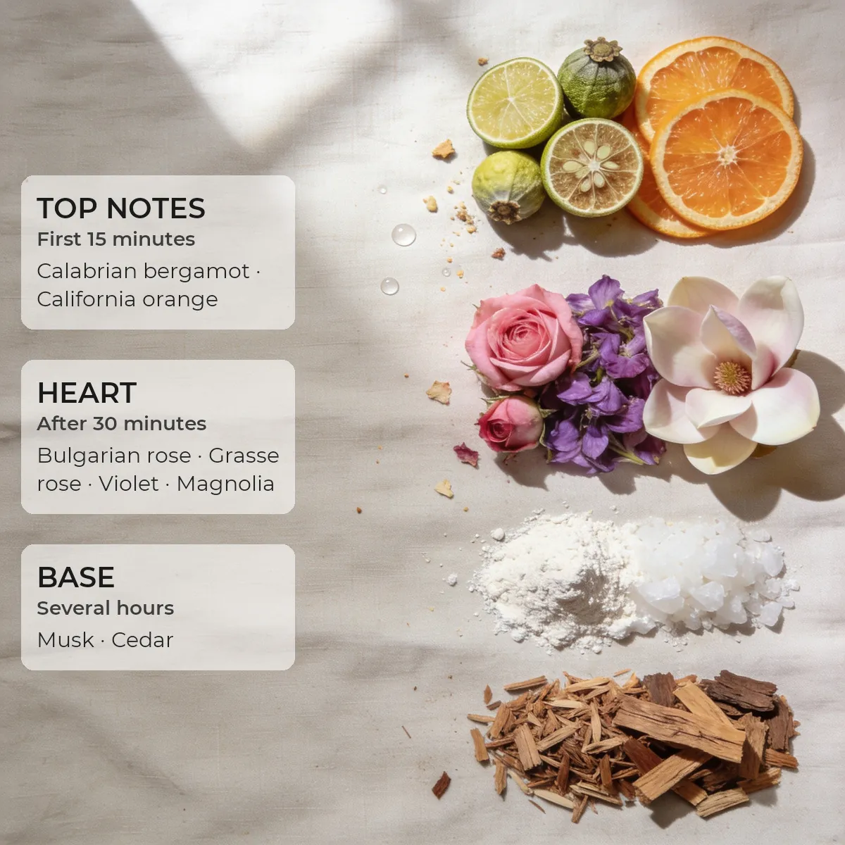 Eternal Rose · Accent 50 ml