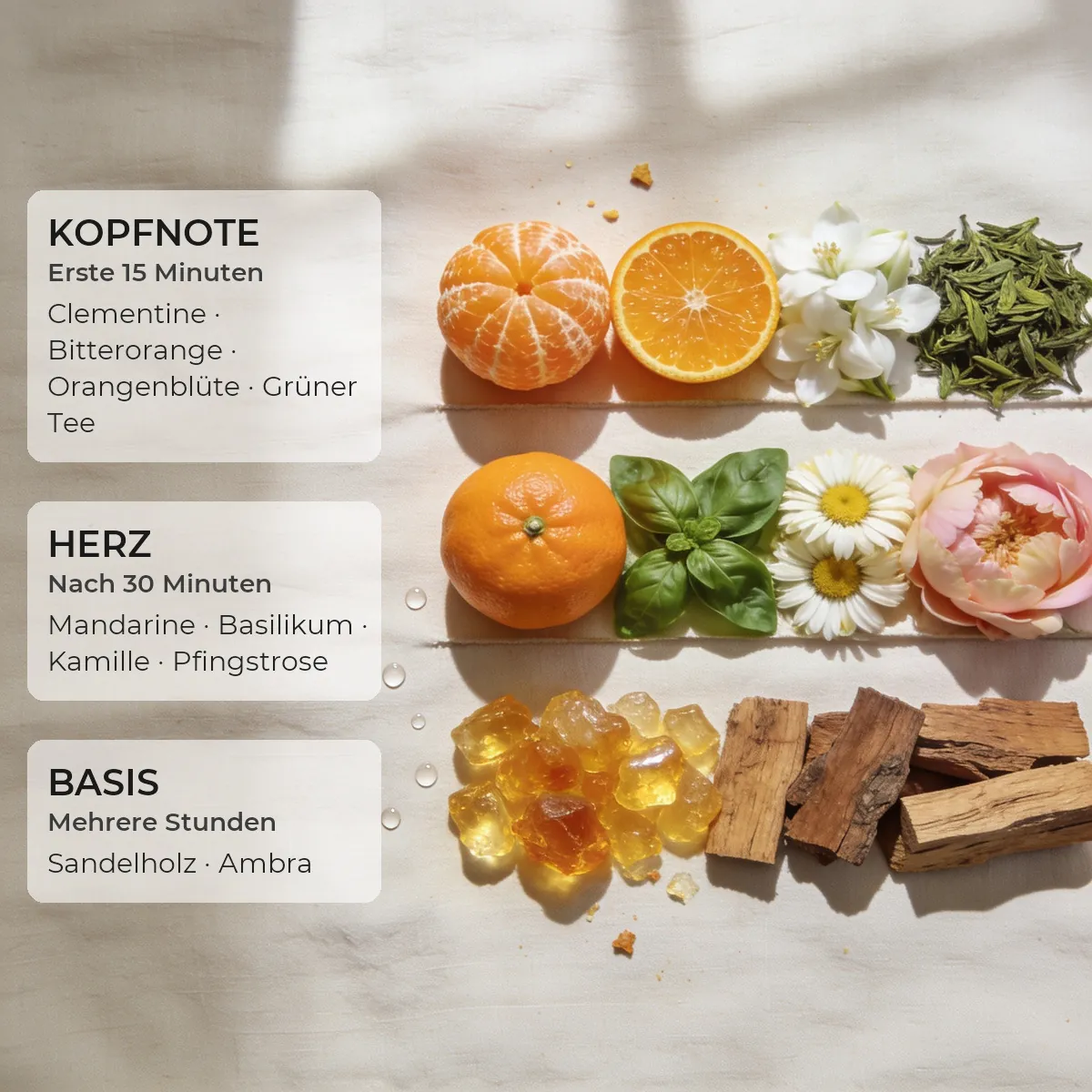 Juicy Mandarin · Accent 50 ml
