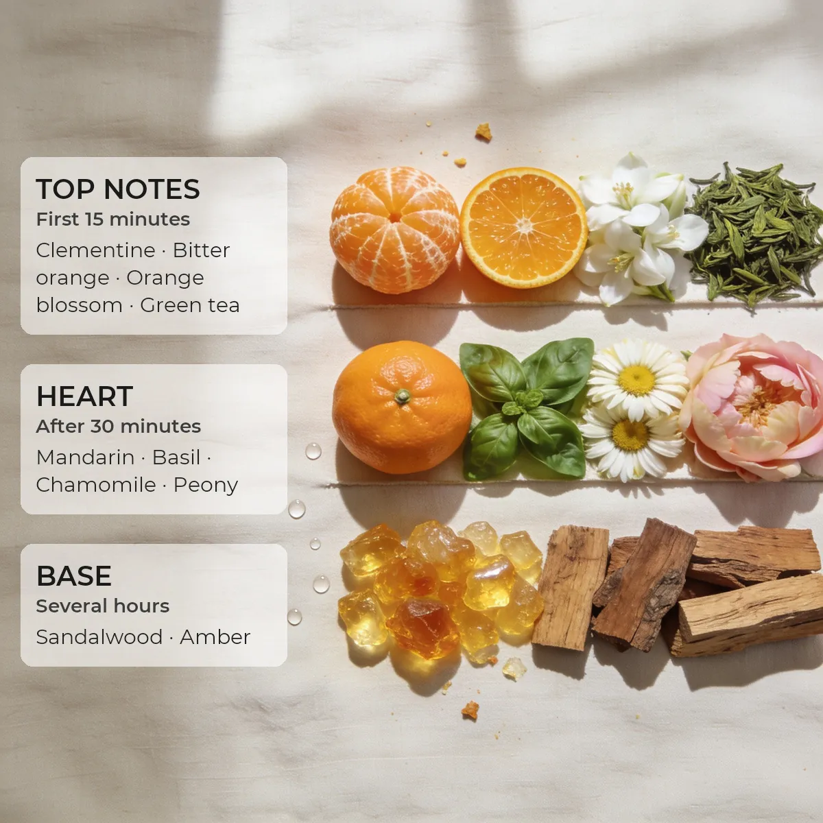 Juicy Mandarin · Accent 50 ml