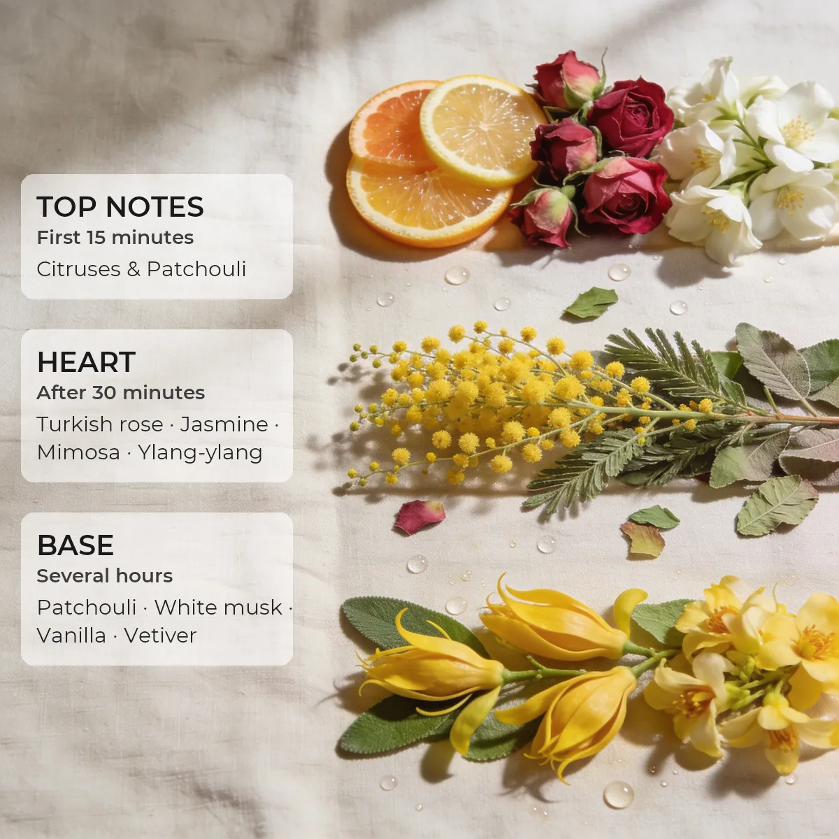 Madem Chic · Secret 50 ml