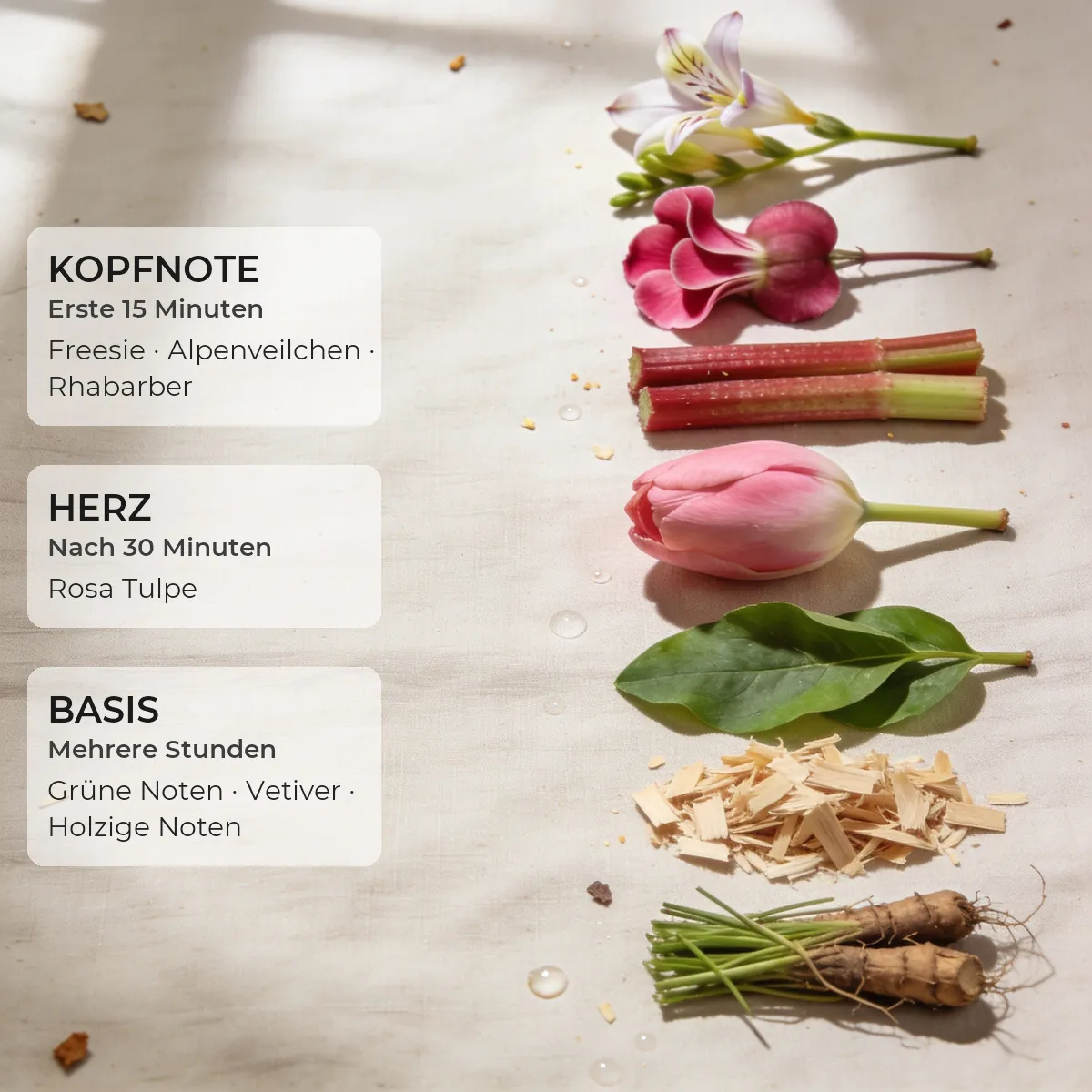 Radiant Tulip · Accent 50 ml