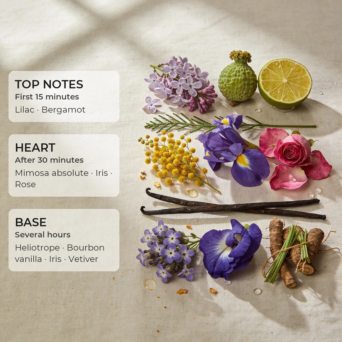 Sweet Addiction · Accent 50 ml