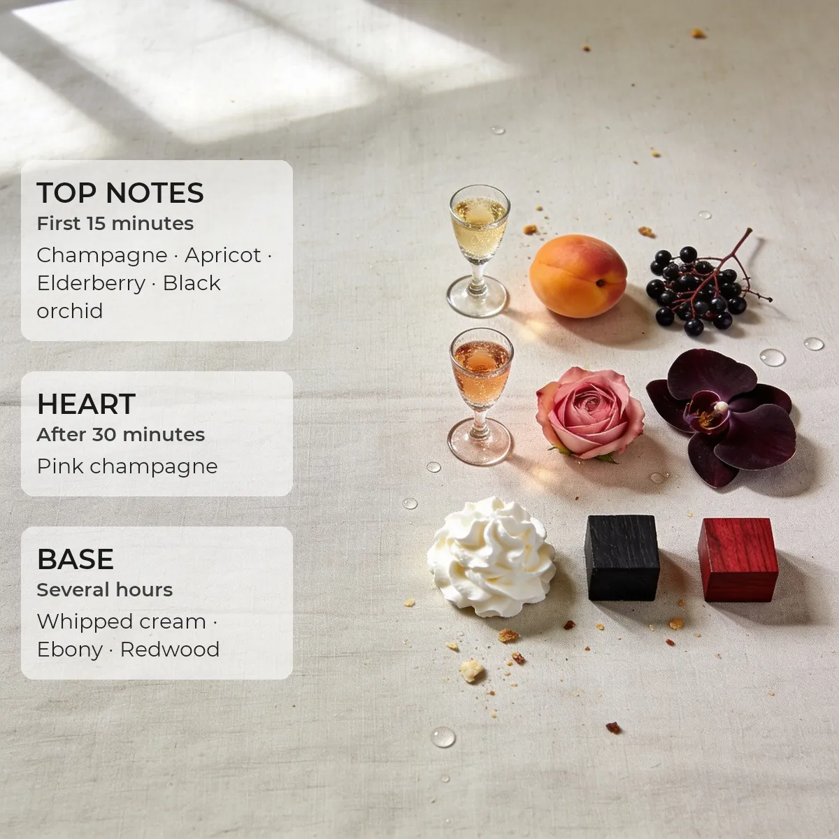 Tender Molecule · Accent 50 ml